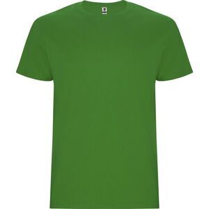 Roly Childrens/Kids Stafford Short-Sleeved T-Shirt / Grass Green